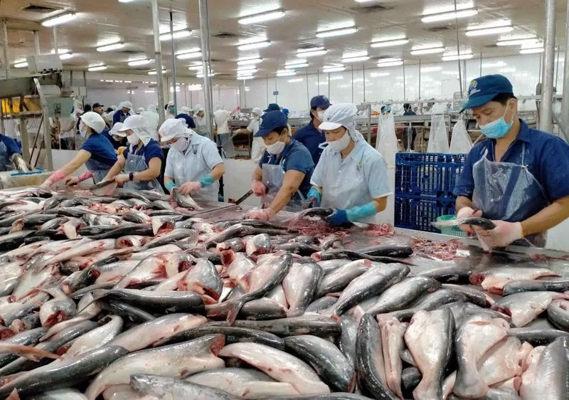 Vietnam’s Pangasius Exports Set to Reach $2 Billion in 2024